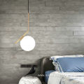 Modern Crystal Ball Hanging Pendant Lamp Light